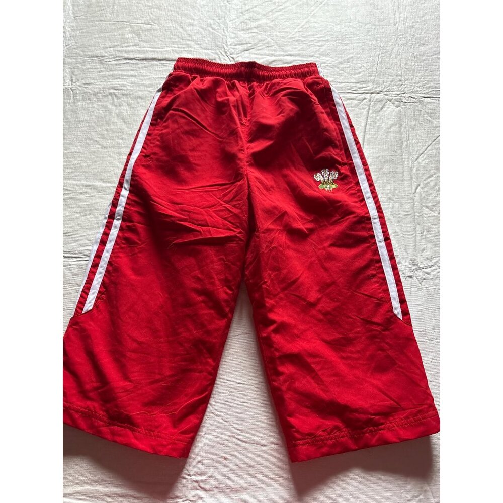 Manav Premier Clothing Red Welsh Dragon Sports Pants XLB UK Size Child's